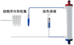按顺序分别收集